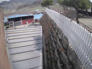 Caméra IP - República de Corea