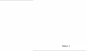 Caméra IP - Alemania