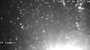 Caméra IP - United States of America