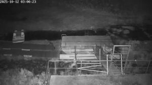 Caméra IP - Eslovaquia