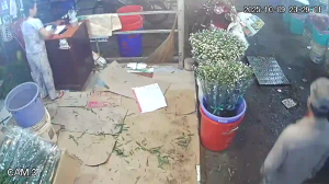 Caméra IP - Vietnam