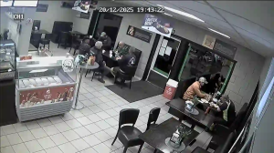 Caméra IP - Norvegia