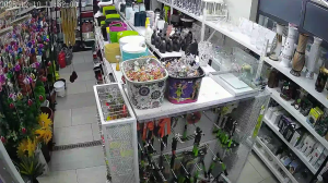 Caméra IP - Serbien