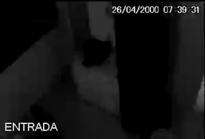 Caméra IP - Brésil