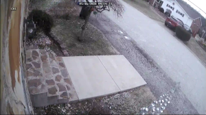 Caméra IP - United States of America