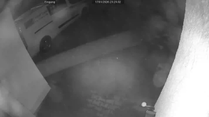 Caméra IP - Germany