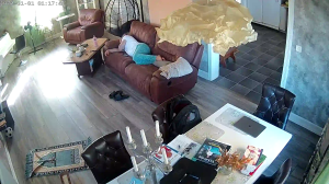 Caméra IP - Lithuania