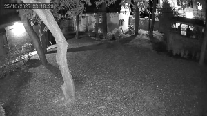 Caméra IP - Georgia