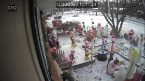 Caméra IP - Vereinigte Staaten von Amerika