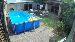 Caméra IP - Argentina