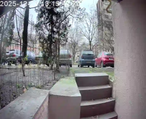 Caméra IP - Vue en direct