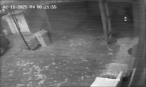 Caméra IP - Allemagne