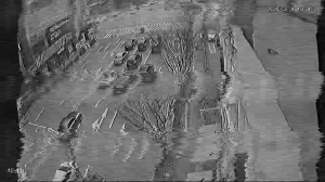 Caméra IP - South Korea