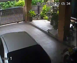 Caméra IP - Thailand