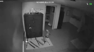 Caméra IP - United States of America