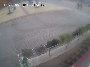 Caméra IP - Lituania