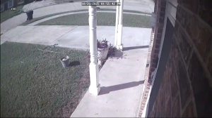 Caméra IP - Estados Unidos