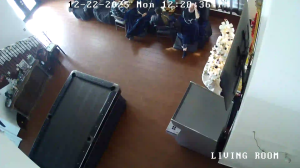 Caméra IP - Estados Unidos