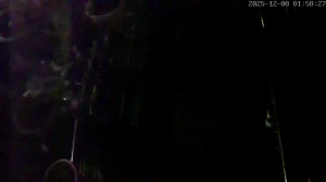 Caméra IP - Niederlande