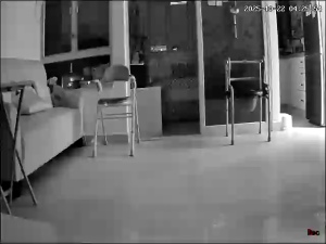 Caméra IP - Hong Kong