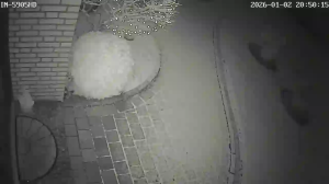 Caméra IP - Germany