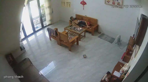 Caméra IP - Vietnam