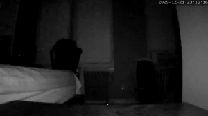 Caméra IP - Vereinigte Staaten von Amerika