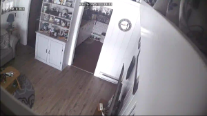 Caméra IP - United States of America