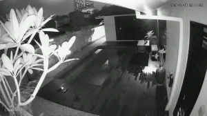 Caméra IP - Malaisie