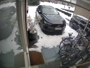 Caméra IP - Pays-Bas