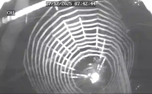 Caméra IP - Italien