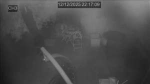 Caméra IP - Belgium