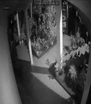 Caméra IP - Mauritius