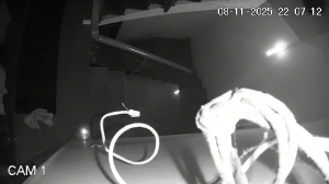 Caméra IP - Vietnam