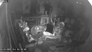 Caméra IP - Germany