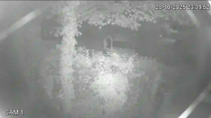 Caméra IP - Croazia