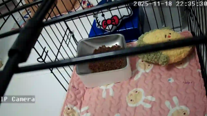 Caméra IP - Hong Kong