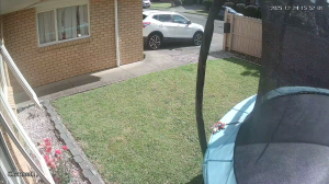 Caméra IP - Neuseeland