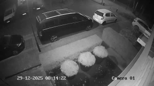 Caméra IP - Niederlande