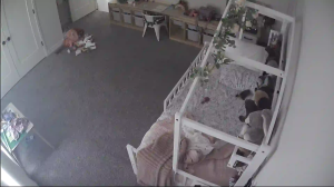 Caméra IP - United States of America