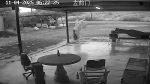 Caméra IP - Curaçao