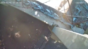 Caméra IP - South Africa