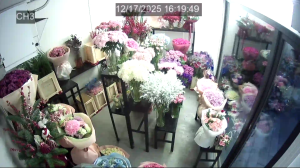 Caméra IP - Ucrania