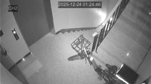 Caméra IP - South Korea