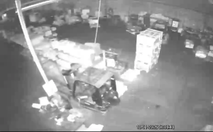 Caméra IP - Francia