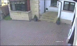 Caméra IP - Reino Unido