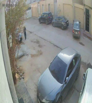 Caméra IP - Saudi Arabia