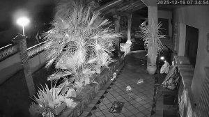 Caméra IP - Spanien