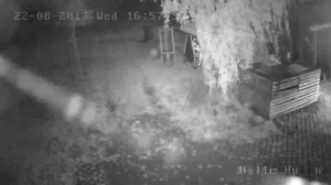 Caméra IP - Alemania