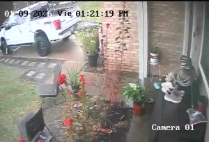 Caméra IP - Vereinigte Staaten von Amerika